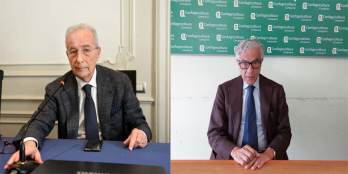 Napoli. Domani alle ore 15 focus sullo sviluppo agrifood alla sede dell’Odcec