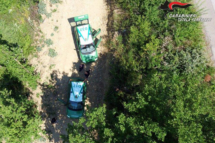 Carabinieri Forestale Benevento