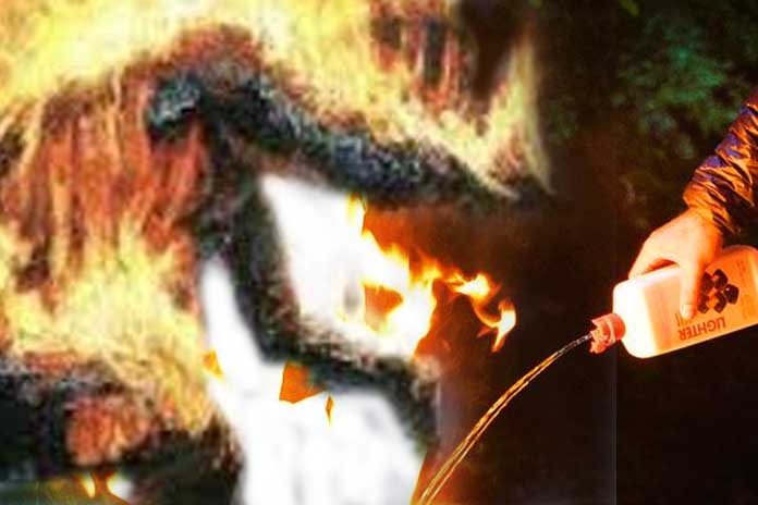 Montecorvino. Allontanato da casa familiare: l’uomo cosparge la moglie di liquido infiammabile e le dà fuoco