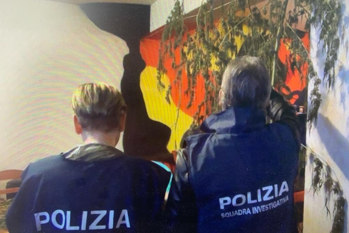 Cava de’ Tirreni. Arrestato 50enne per produzione di sostanze stupefacenti