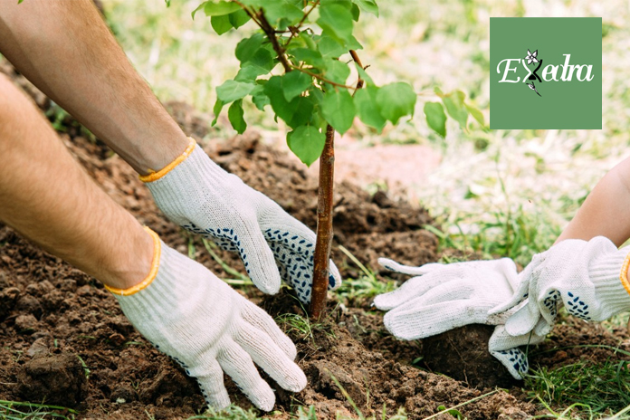 Exedra Cava de’ Tirreni. L’Associazione dona alberi a Legambiente