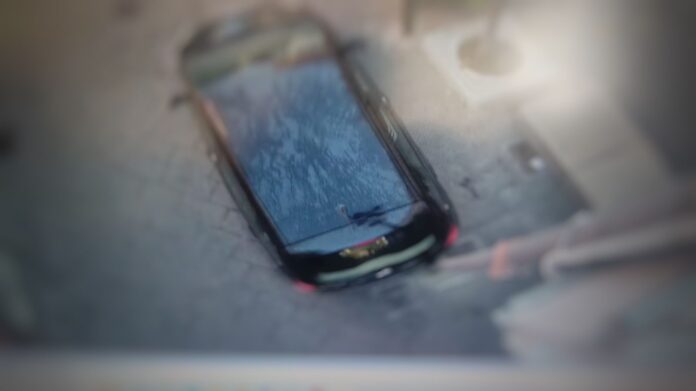 WhatsApp Image 2022-12-19 at 12.13.32