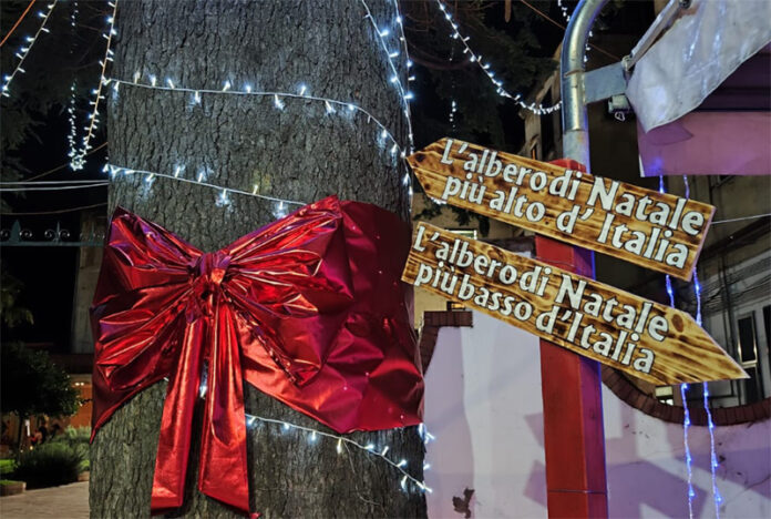 Roccapiemonte. A Villa Silvia, l’albero di Natale più alto d’Italia e anche quello più piccolo