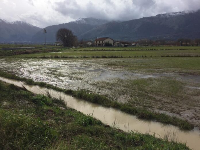 Maltempo, gravi danni all’agricoltura nel Salernitano