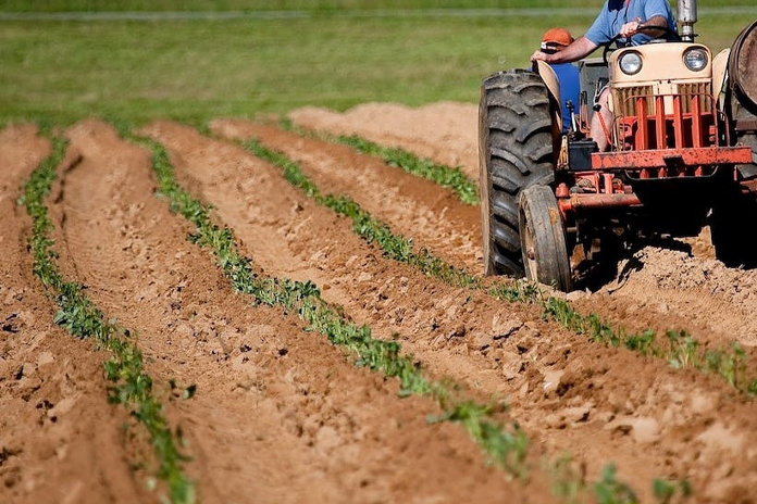 Salerno. Truffa sui Contributi Europei, nei guai imprenditore agricolo: sequestro da oltre 160mila euro