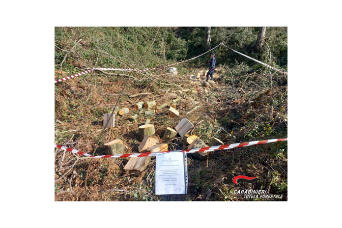carabinieri benevento