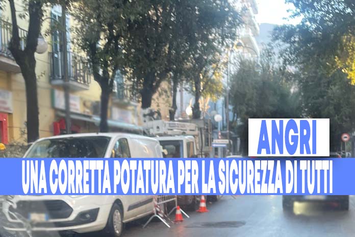 Angri. Decoro e non sicurezza, si potano gli alberi in corso Vittorio Emanuele: Cittadini lanciano appello (le foto)
