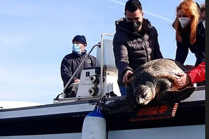 Domani le telecamere Rai di nuovo in azione nell’Area Marina Protetta di Punta Campanella