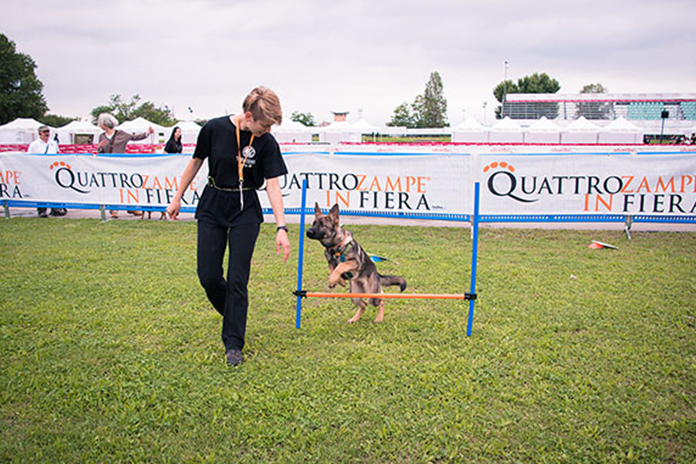 Napoli, 15 e il 16 aprile c’è l’evento Quattrozampeinfiera alla Mostra d’Oltremare
