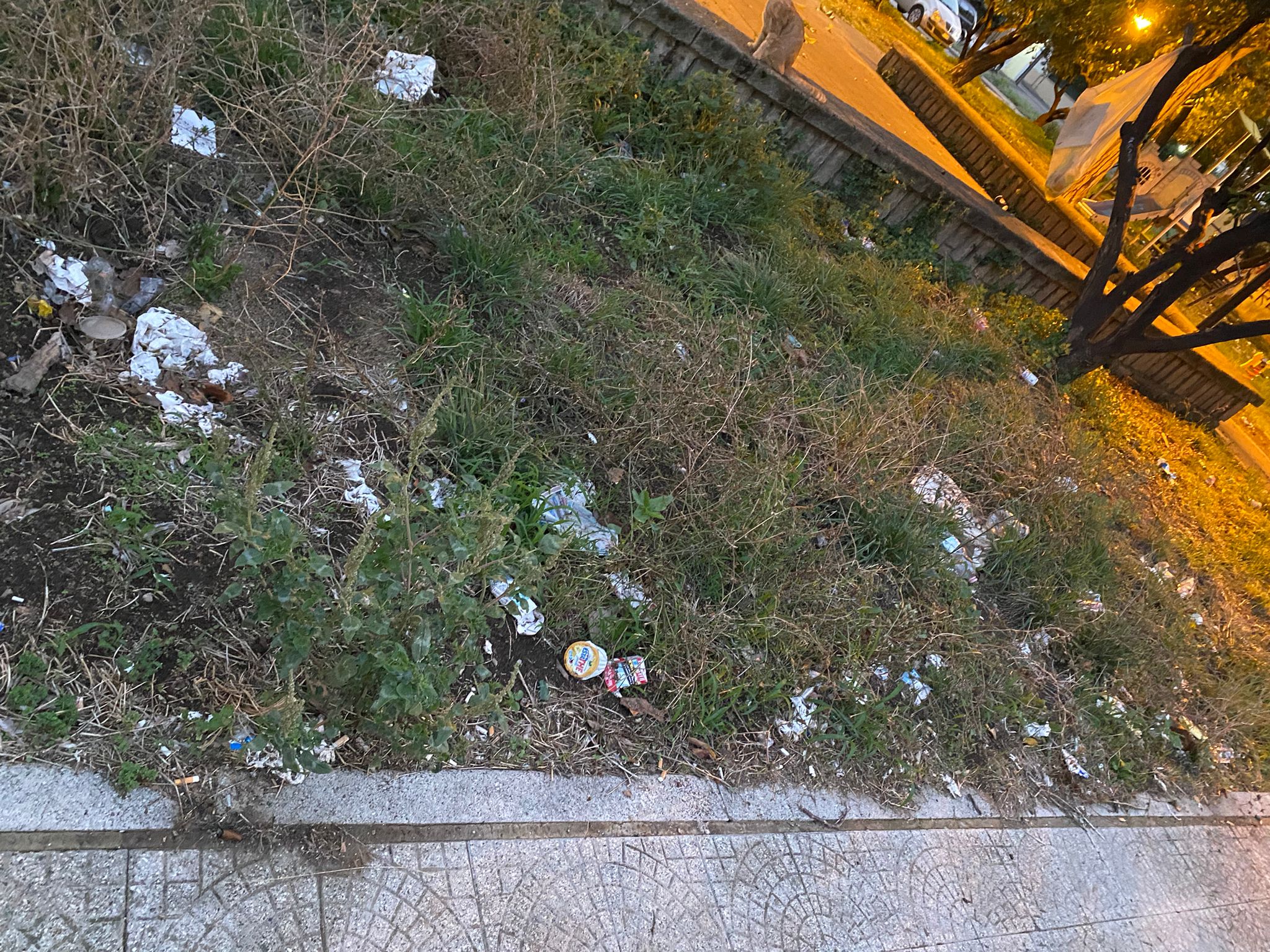 Piazza San Rocco:  discarica a cielo aperto. «Pulizia autogestita» da parte dei cittadini