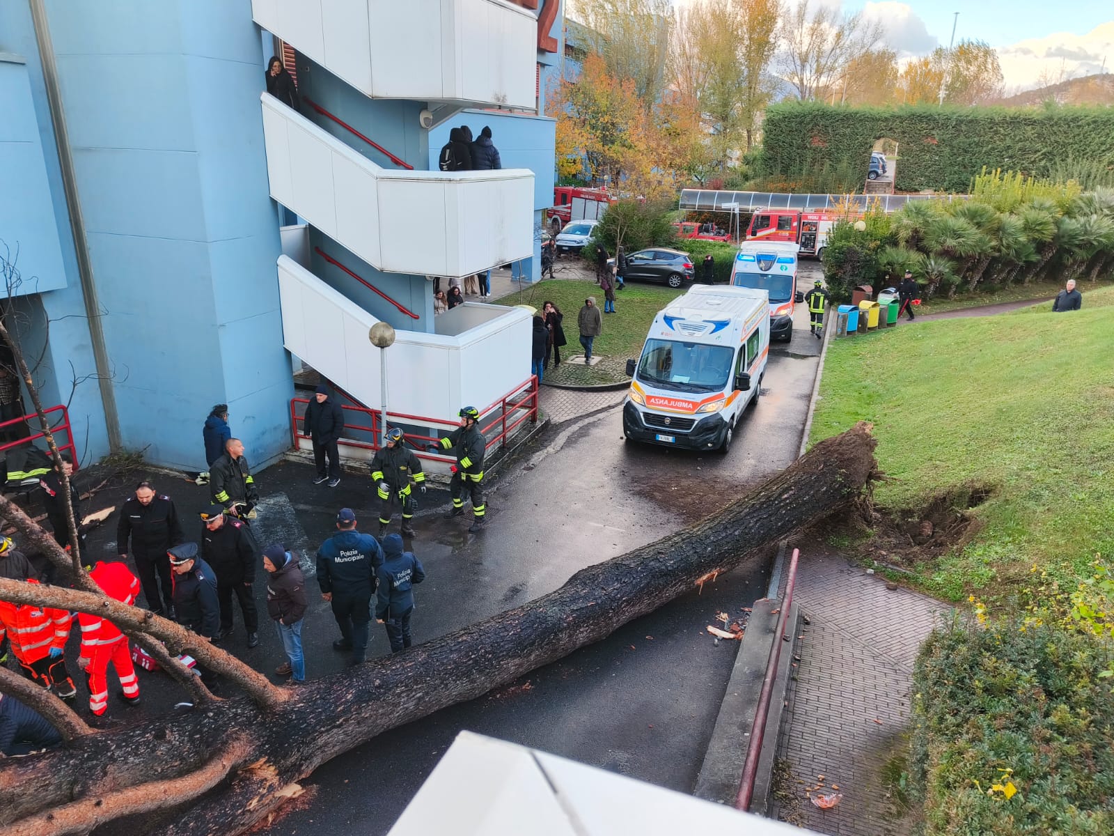 Fisciano. L’albero cade nel campus, diversi i feriti