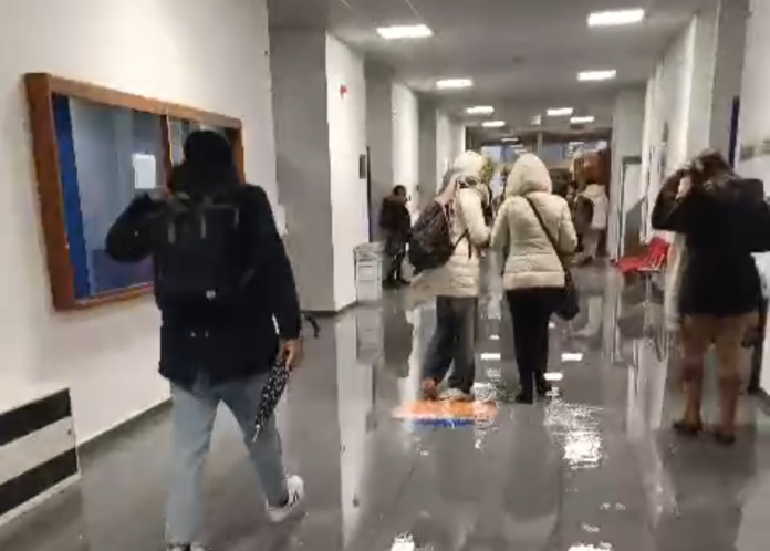 Screenshot_20250112-103715~2