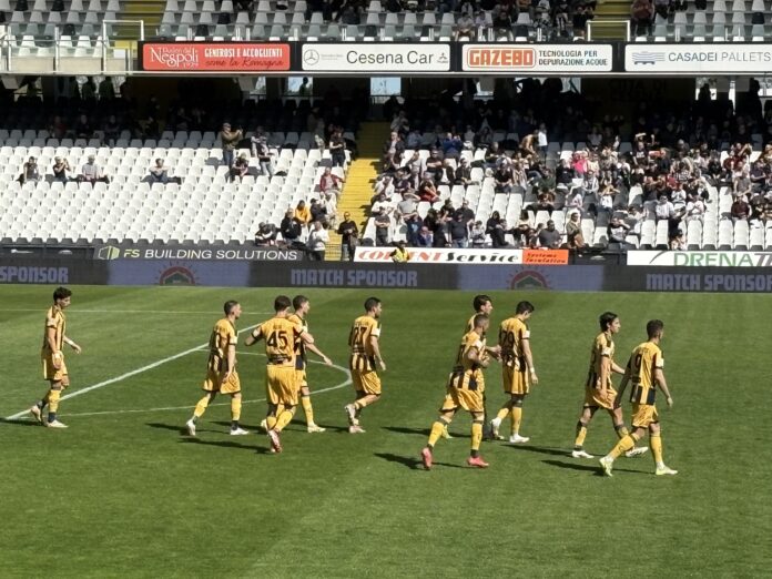 Catanzaro presentazione probabili formazioni Juve Stabia numeri 33esima giornata serie B Cesena- Juve Stabia