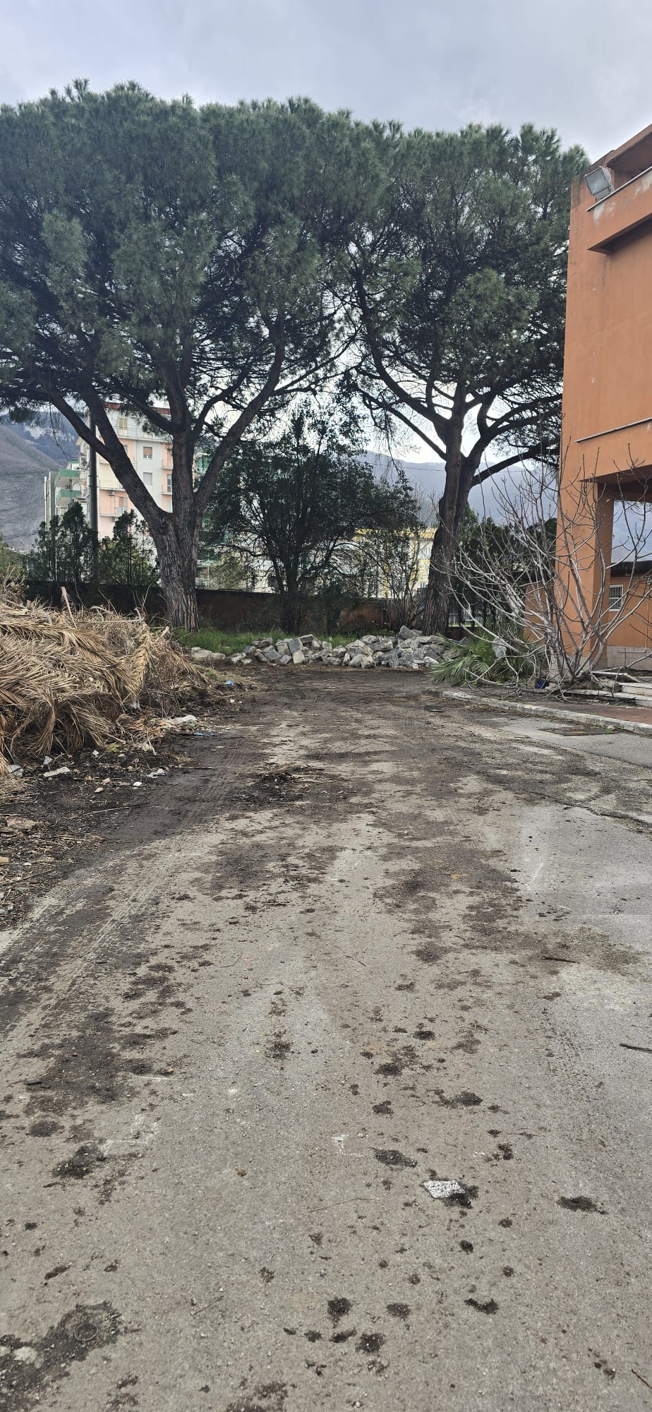 Sicurezza al Mercato Ortofrutticolo: dopo la segnalazione, finalmente rimossi i rifiuti