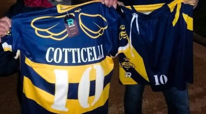 L'arte di Tullio Cotticelli