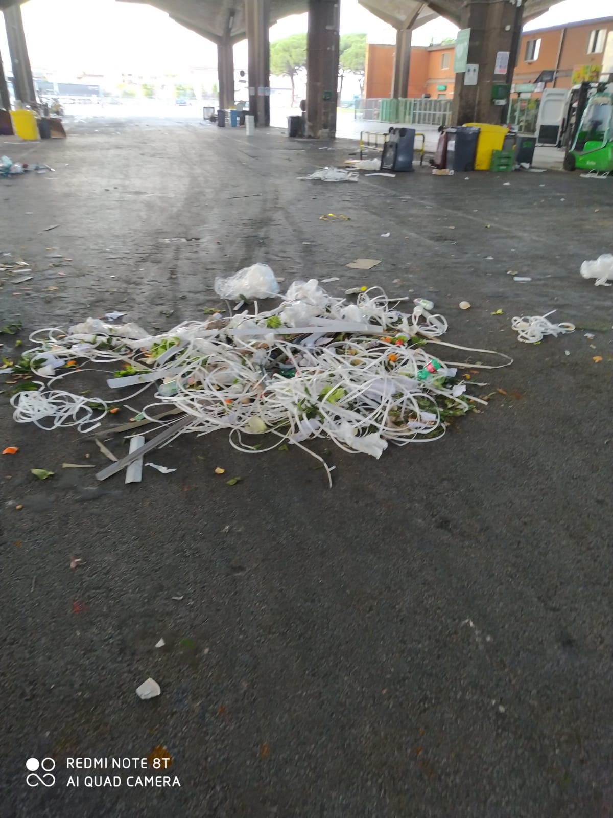 L’inazione delle amministrazioni sul Mercato Ortofrutticolo: ignorati i diritti dei lavoratori