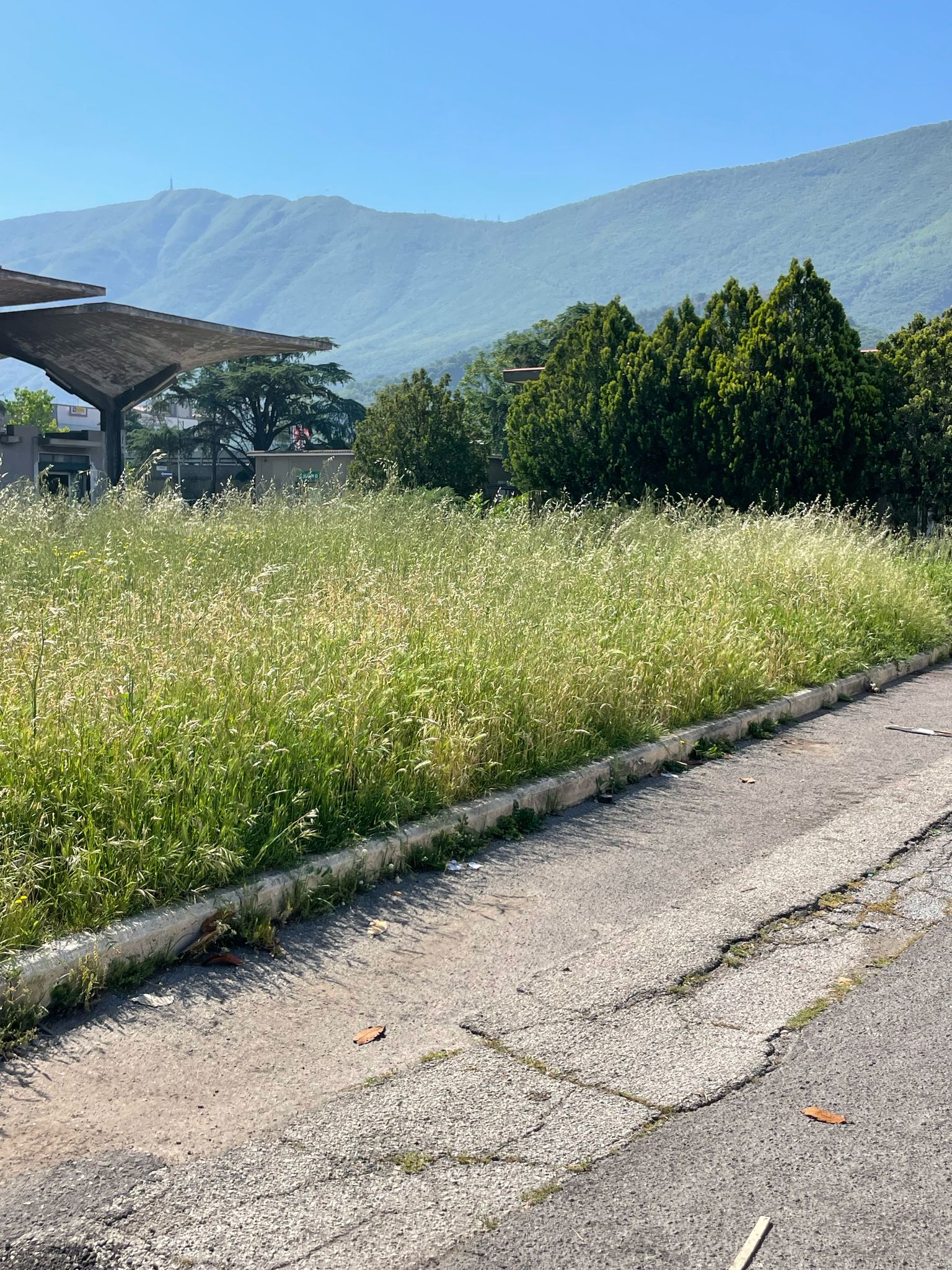 Pagani. Primavera al Mercato Ortofrutticolo: fiorisce l’allergia, appassisce il decoro