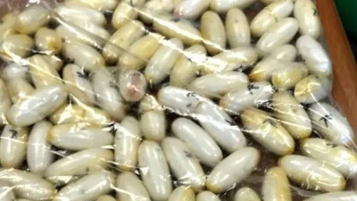 ovuli-droga-1582888333870-1200x675