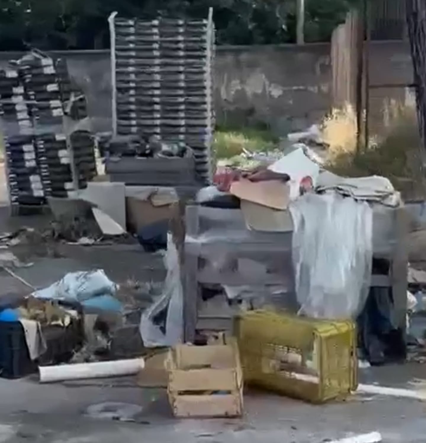 Mercato ortofrutticolo di Pagani-Nocera: un safari tra i rifiuti, non tra i frutti