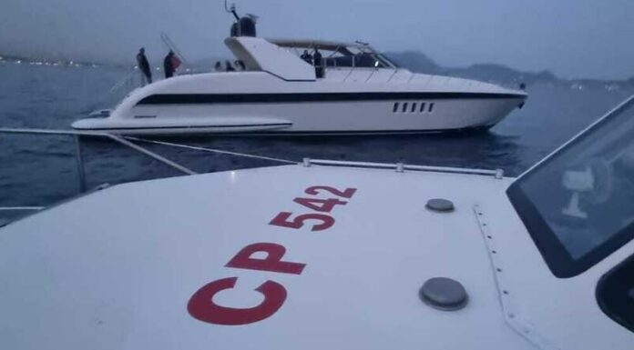 8979303_26111620_bcf5b0e6_222a_4c0f_ae75_6e9ef6e31db0