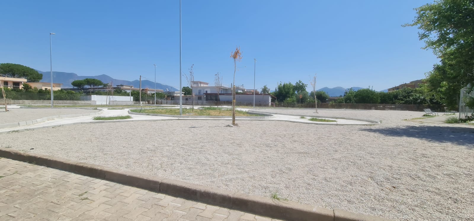 Via Taurano: approvato il primo stato dei lavori (54.230 euro) ma le piante sono già appassite