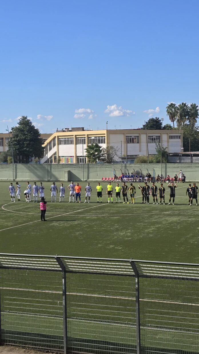 2045db2f-1784-41ce-939d-9f5be75178af