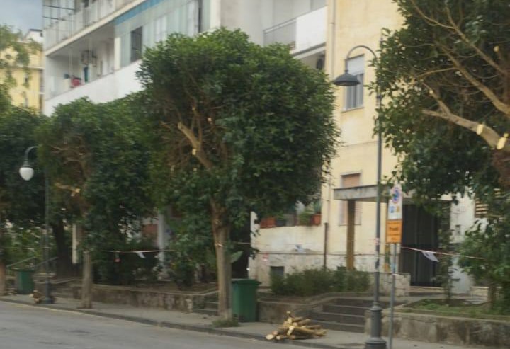 Pagani, stop a transito e sosta in via Mazzini per la potatura delle alberature