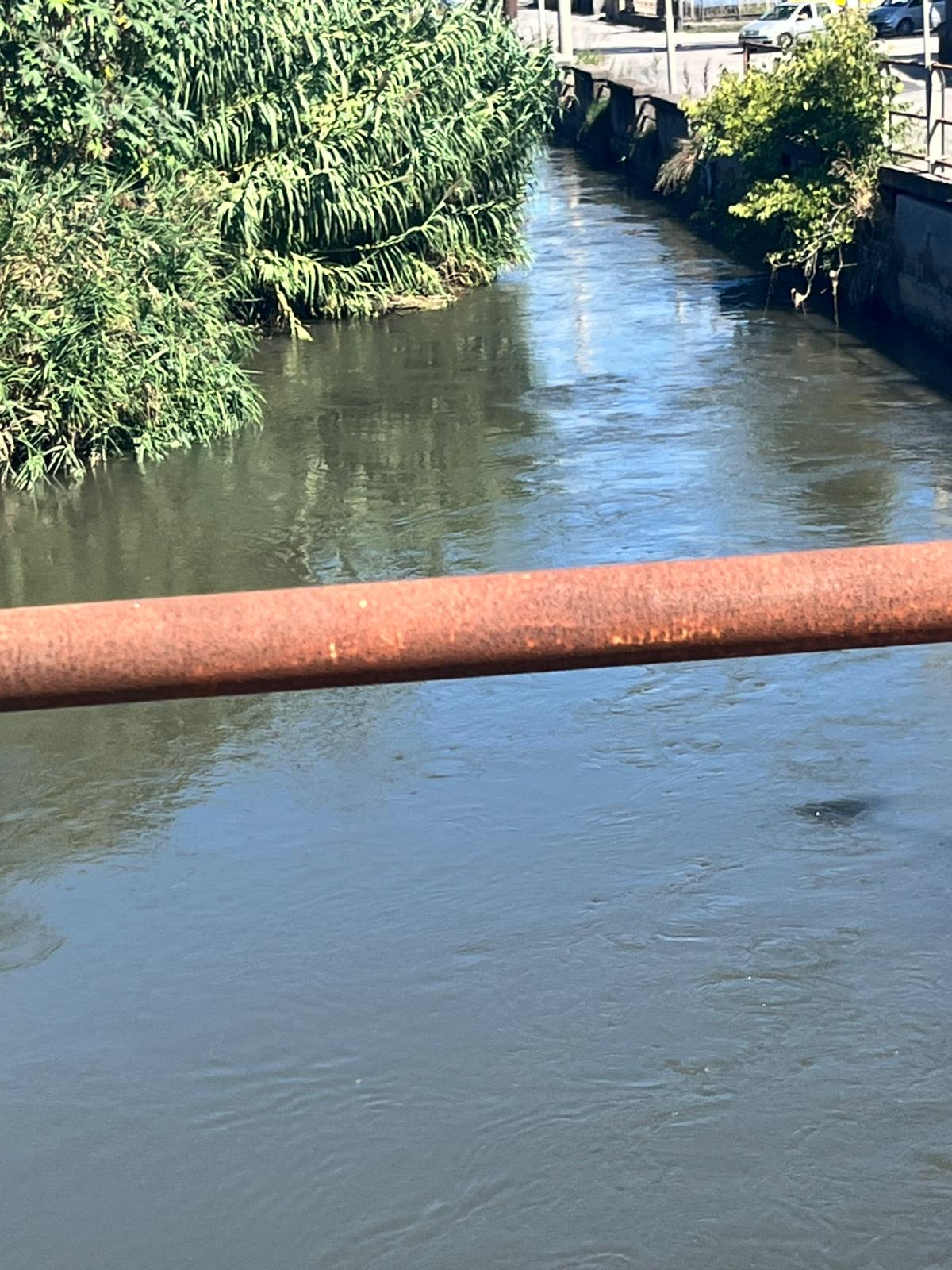 Odori nauseanti alla foce dello Sarno: probabili scarichi dalle industrie conserviere