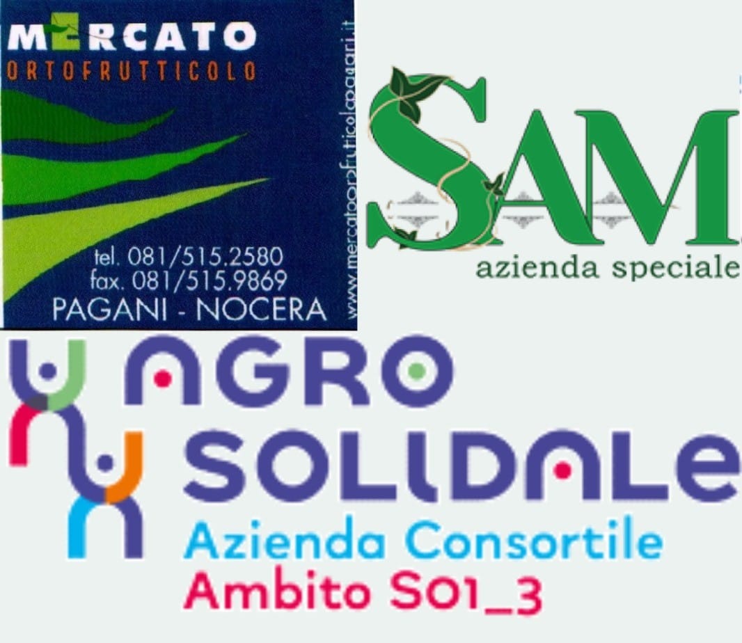 Pagani, i conti delle partecipate: utile complessivo ma con forti squilibri interni