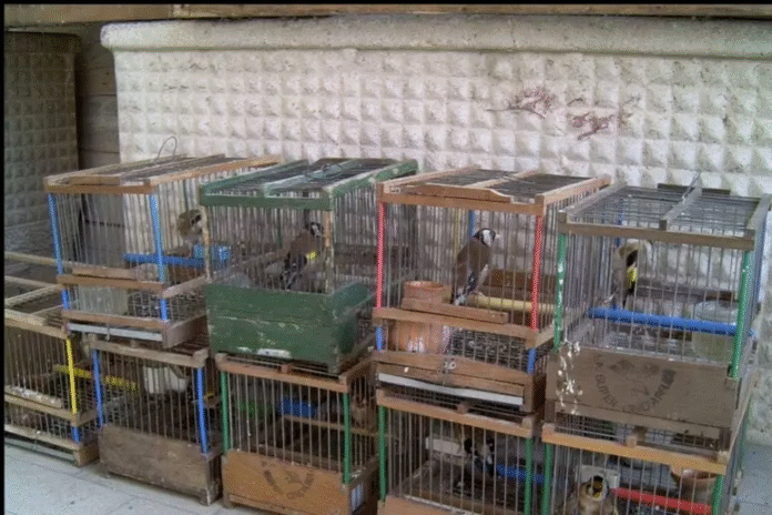 0077482af8c42a75a44b9e8951fd1578