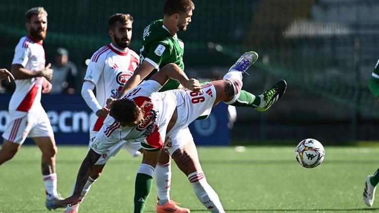 Avellino e Mantova non si fanno male: al Partenio Lombardi è 0-0