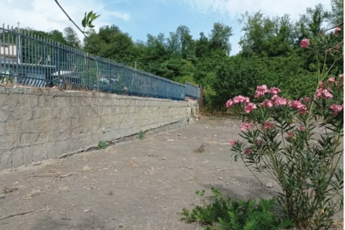 fba022ed9636d352aa5b6b1d31c30a53