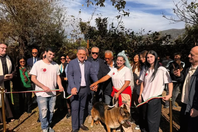 sarno rifugio per cani
