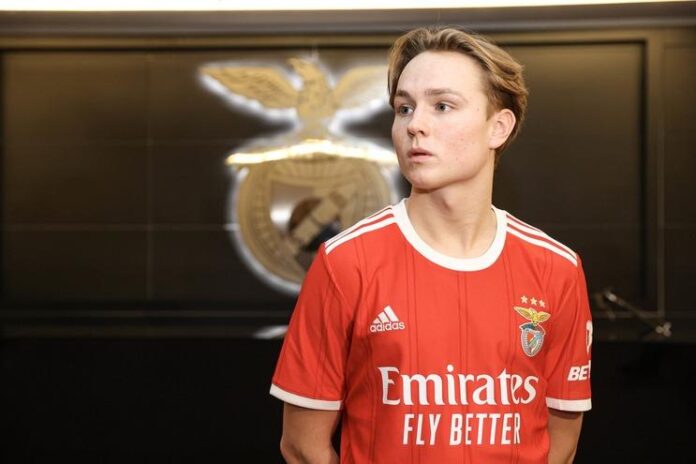 Andreas Schjelderup carcere video hot