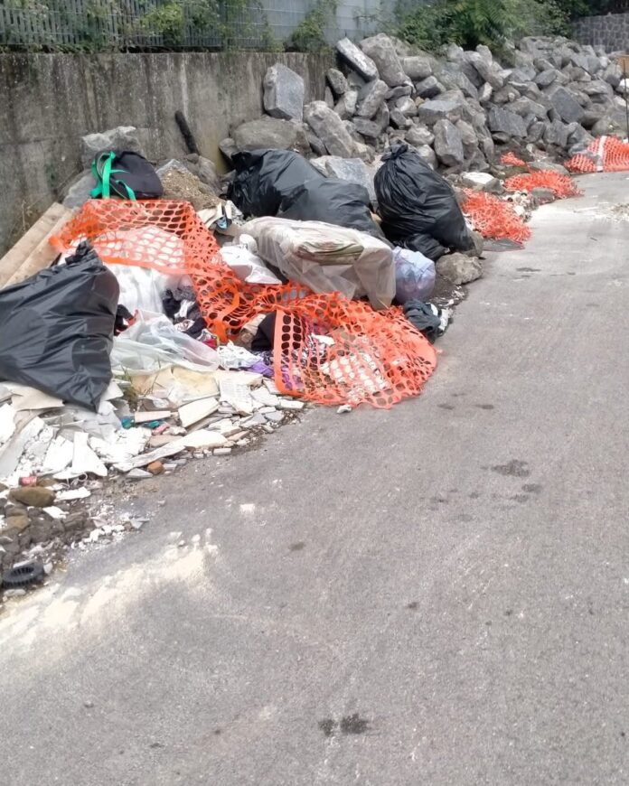 WhatsApp Image 2025-11-12 at 07.49.21