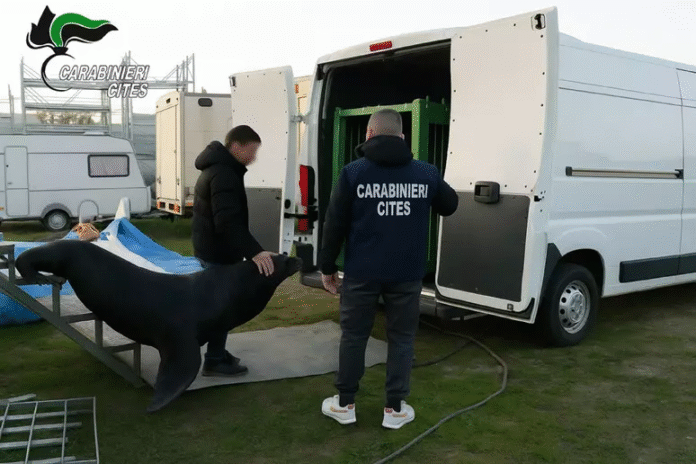 d434a76b0b52eeb8794113ee2f2b5263 (1)