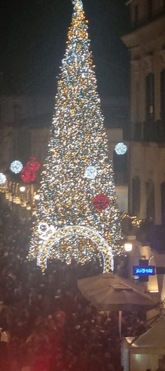 WhatsApp Image 2025-12-08 at 22.00.42