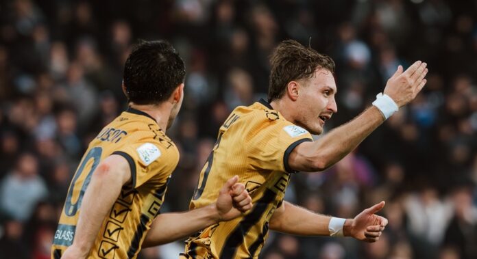 cesena-juve stabia esultanza