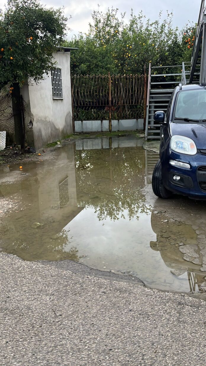 IMG-20260109-WA0089(1)