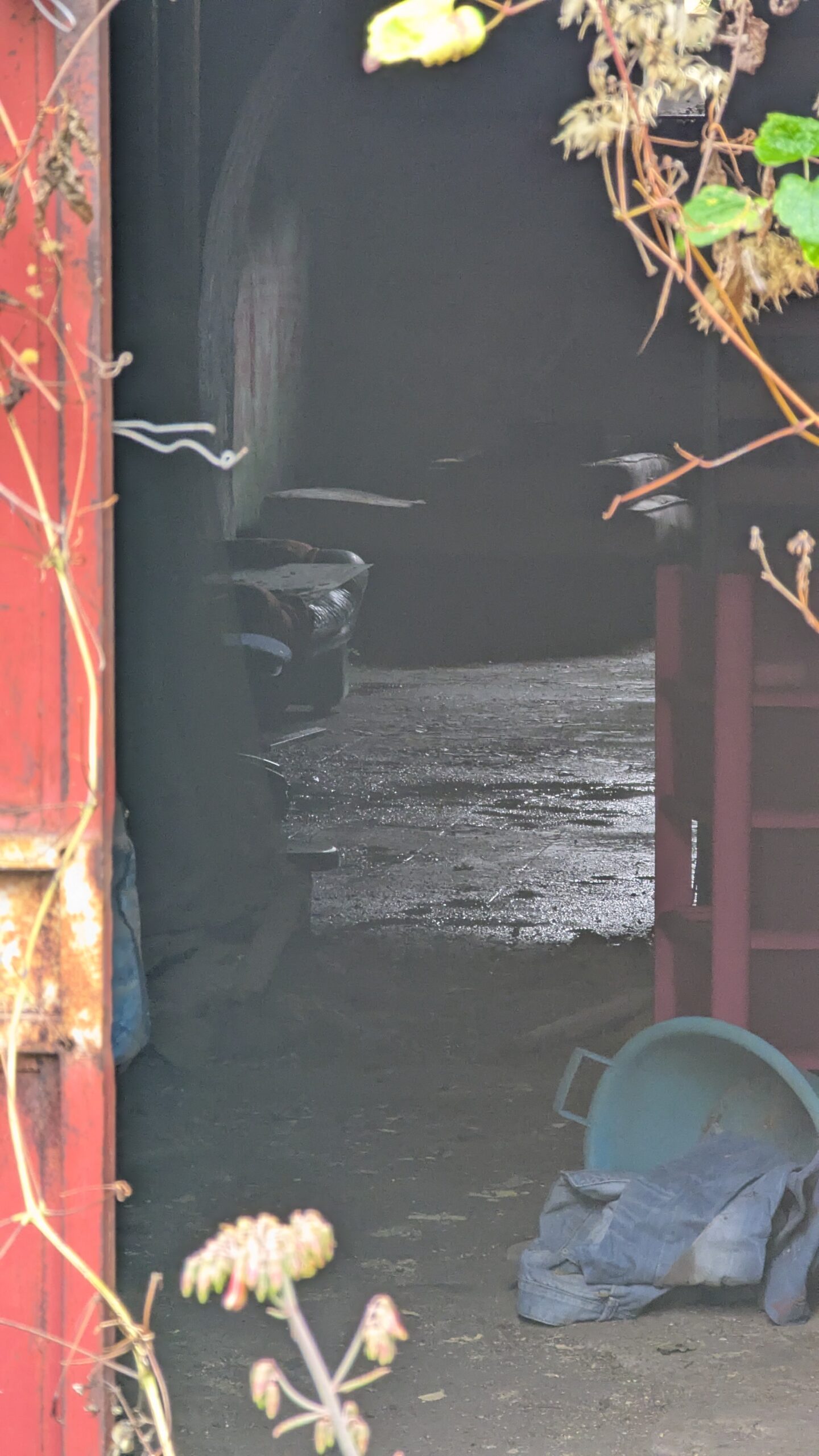 Degrado in via Marconi: il “buco nero” a due passi da Piazza Sant’Alfonso