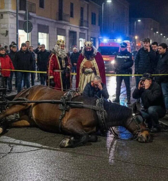 WhatsApp Image 2026-01-06 at 16.51.55 Cavallo crolla durante la Cavalcata dei Re Magi