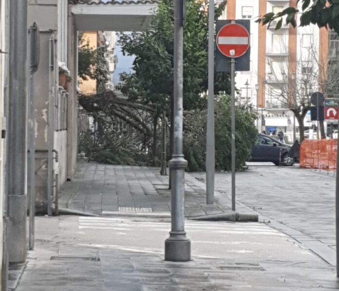 WhatsApp Image 2026-01-10 at 15.27.16 (1)