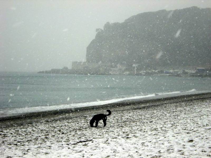 Carnevale 2026: tempo instabile con pioggia, neve e vento