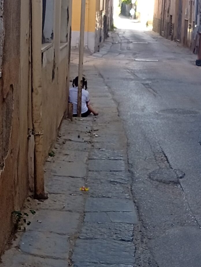 Immagine-WhatsApp-2025-11-18-ore-12.26.28_d9d38dac