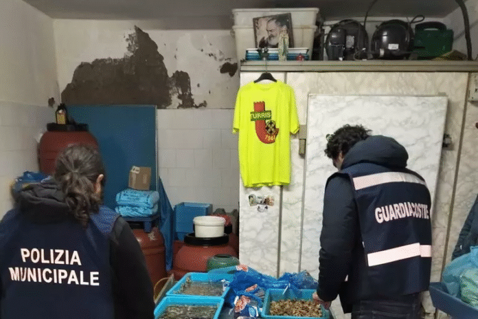 torre del greco ittici